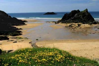 Soar Mill Cove Hotel